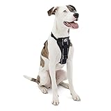 Kurgo Tru-Fit Smart Harness, Dog Harness, Pet Walking Harness, Quick Release Buckles, Front D-Ring for No Pull Training, includes Dog Seat Belt Tether (Black, Medium)