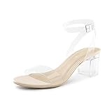 DREAM PAIRS Womens Carnival-1 Clear Open Toe Ankle Strap Low Block Chunky Heels Sandals Party Dress Pumps Shoes, Nude/Clear - 7