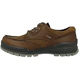 ECCO Men's Track 25 Low Gore-tex Waterproof Hiking Shoe, Bison/Bison Oil Nubuck, 9-9.5