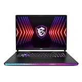 MSI Raider GE78HX 17” 240Hz QHD+ Gaming Laptop: Intel Core i9-14900HX, NVIDIA Geforce RTX 4080, 64GB DDR5, 2TB NVMe SSD, Thunderbolt 4, Cooler Boost 5, Win 11 Home: Black 14VHG-601US