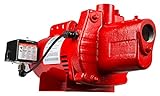Red Lion RJS-100-PREM 1 HP, 23 GPM, 115/230 Volt, Premium Cast Iron Shallow Well Jet Pump, Red, 602208, 9.1 x 17.8 x 9.1 inches