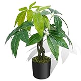 HUAESIN 18 inches Artificial Money Tree Faux Tree Table Top Fake Potted Plants Indoor Small Silk Tree Pachira Aquatica for Home Table Bedroom Kitchen Office Porch Decor Aesthetic