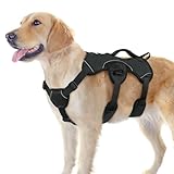 rabbitgoo Escape Proof Dog Harness, Soft Padded Full Body Pet Harness, Reflective Adjustable No Pull Vest with Lift Handle and Leash Clip for Large Dogs Walking Hiking Training, L, Black