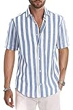 JMIERR Men's Summer Casual Stylish Short Sleeve Button-Up Shirts Cotton Linen Vertical Striped Business Dress Shirts Beach Cruise Shirt Resort Wear, L, Sky Blue