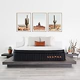 Brooklyn Bedding 14' Sedona Elite Mattress, King