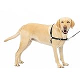 PetSafe Easy Walk No-Pull Dog Harness - The Ultimate Harness to Help Stop Pulling - Take Control & Teach Better Leash Manners - Helps Prevent Pets Pulling on Walks - Large, Black/Silver