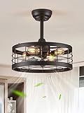LEDIARY 16.5 inch Black Caged Ceiling Fan with Light, Bladeless Industrial Ceiling Fan with Remote, Farmhouse Fan Lights Ceiling Fixtures for Kitchen, Bedroom, Outdoor（6 Speed, Timing）-Black