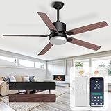 Outdoor Ceiling Fans with Lights and Remote: 52 Inch Fan for Bedroom LED Dimmable Ceiling Fans with Lights and APP Remote Fan Reversible DC Motors Modern Fans for Living Room Kitchen Garage Black