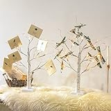 Vanthylit Money Tree Gift Holder Set of 2, 24 LED Warm White Lights Battery Powered Timer, with Clips and Greeting Cards, Gift Holder Decor for Photo Mother's Day Christmas Graduation Gifts