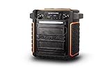 ION Audio Raptor | Ultra-Portable 100-Watt Wireless Water-Resistant Speaker with 75-Hour Rechargeable Battery, Bluetooth Streaming, AM/FM Radio and Multi-Color Light Bar