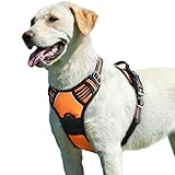 Eagloo Dog Harness for Large Dogs, No Pull Service Vest with Reflective Strips and Control Handle, Adjustable and Comfortable for Easy Walking, No Choke Pet Harness with 2 Metal Rings, Orange, L