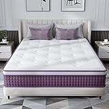 REGOSS Queen Mattress, 12 Inch Hybrid Queen Mattress, Queen Size Mattress in a Box, Plush Foam Mattress with Individually Pocketed Coils, Motion Isolation for Pressure Relief, Medium Soft