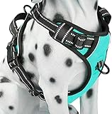 PoyPet No Pull Dog Harness, Reflective Comfortable Vest Harness with Front & Back 2 Leash Attachments and Easy Control Handle Adjustable Soft Padded Pet Vest for Small Medium Large Dogs (Mint Blue,M)