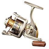 Diwa Spinning Fishing Reels for Saltwater Freshwater 1000 2000 3000 4000 5000 6000 Series Fishing Spool Left/Right Interchangeable Trout Carp Spinning Reel 10 Ball Bearings Light and Smooth (2000)