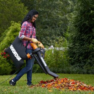 Black Friday Leaf Blower