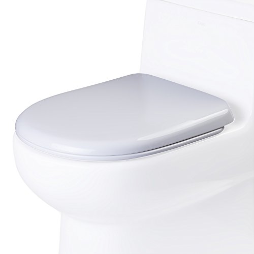 Eago R 351seat Replacement Soft Closing Toilet Seat For Tb351