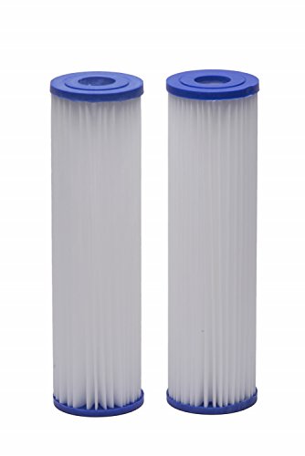 Ecopure Epw2p Water Filter, White/blue