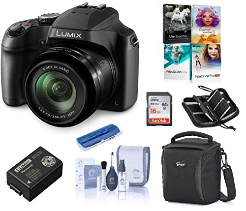 Panasonic Lumix Dc Fz80 Digital Point & Shoot Camera Bundle With 16gb Sdhc Card, Camera Bag, Cleaning Kit, Memory Wallet, Card Reader, Pc Software Package