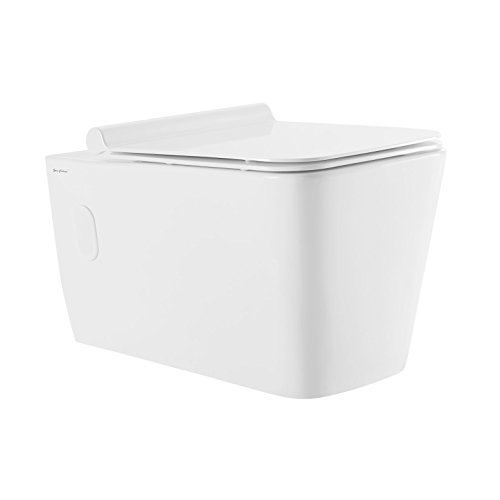 Swiss Madison Sm Wt442 Concorde Wall Hung Toilet Bowl