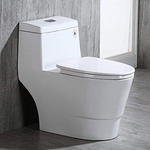 Woodbridge T 0019, Dual Flush Elongated One Piece Toilet With Soft Closing Seat, Comfort Height, Water Sense, High Efficiency, Rectangle Button, Cotton White