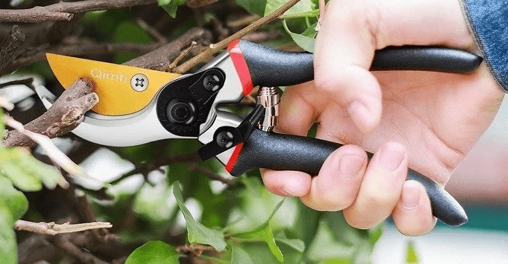 Best Pruning Shear | Best Tree Pruner Black Friday Deals