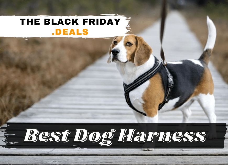 Best Dog Harnesses