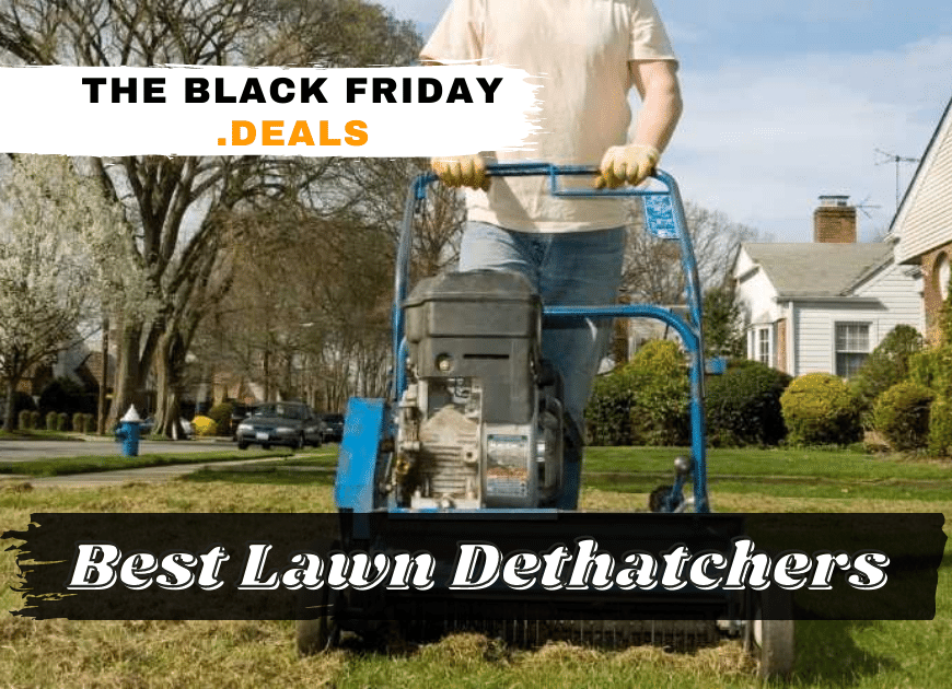 Best Lawn Dethatchers