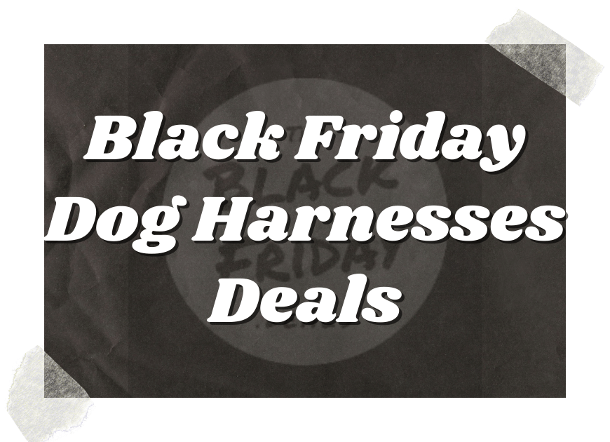 Black Friday Dog Harnesses Deals