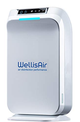 Wellis Air Purifier For Home Large Room Filterless, Surface Disinfection From Virus, Bacteria, Fungi, Germs, Allergies, Pets Dander, Pollen, Smoke, Dust, Mold, Odors, White