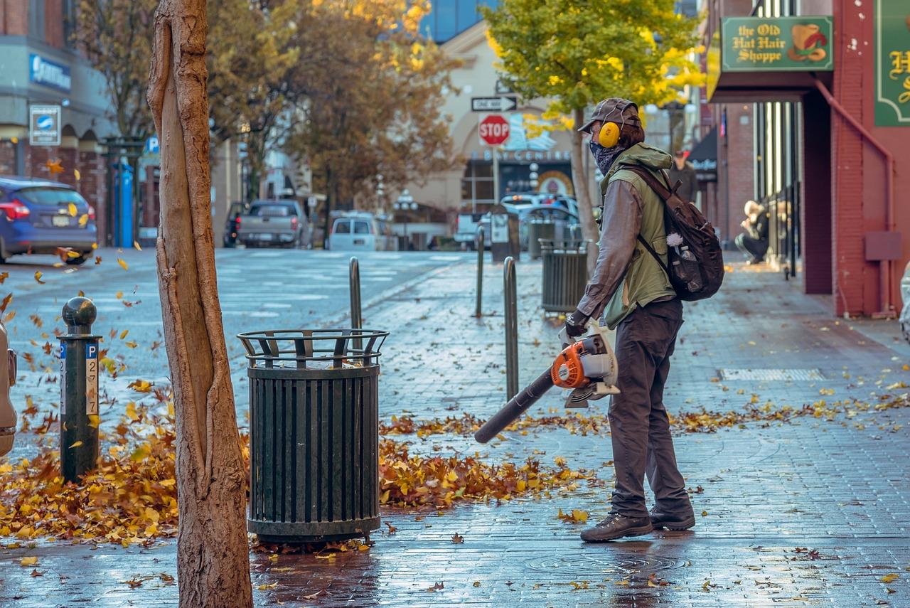 Leaf Blower Black Friday Deals