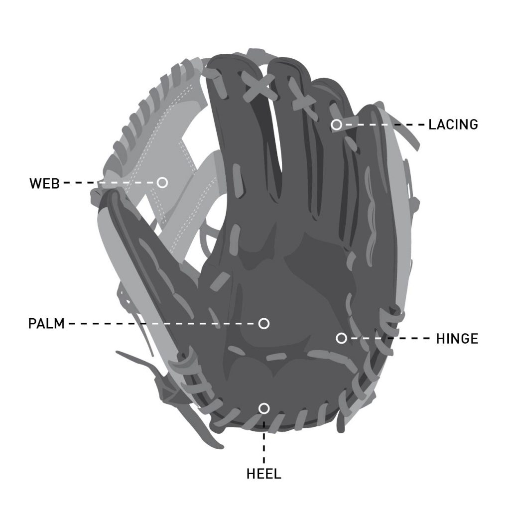 How To Buy The Right Baseball Glove