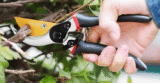 Best Tree Pruner Black Friday Deals 2025