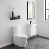 Dual Flush Toilet Black Friday